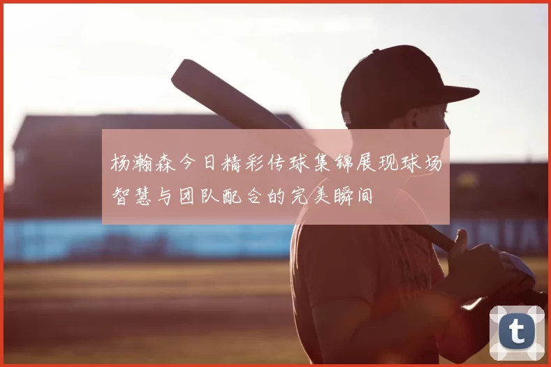 杨瀚森今日精彩传球集锦展现球场智慧与团队配合的完美瞬间