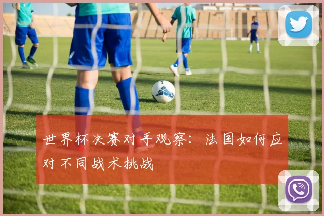 世界杯决赛对手观察:法国如何应对不同战术挑战
