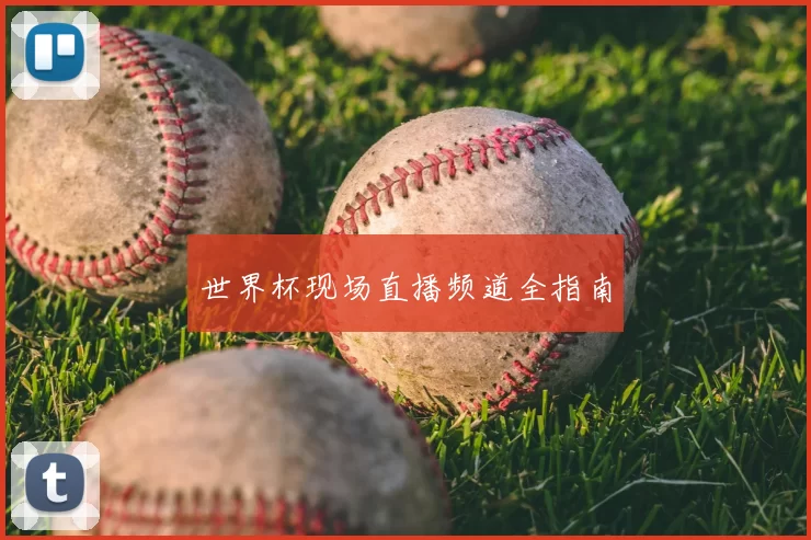 世界杯现场直播频道全指南