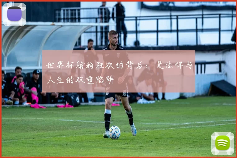 世界杯赌狗狂欢的背后,是法律与人生的双重陷阱