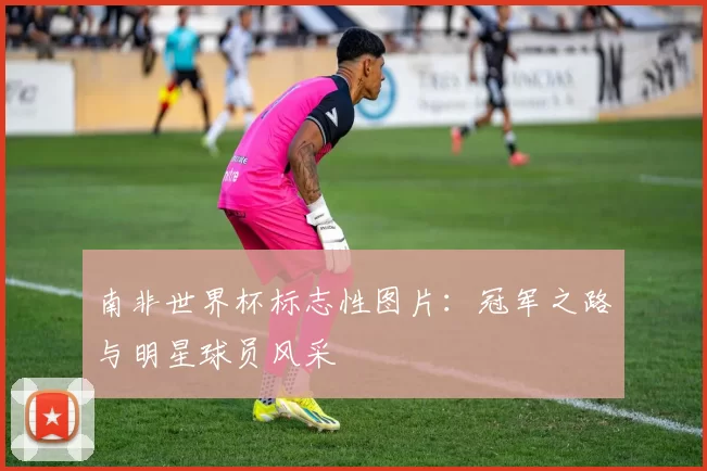 南非世界杯标志性图片：冠军之路与明星球员风采