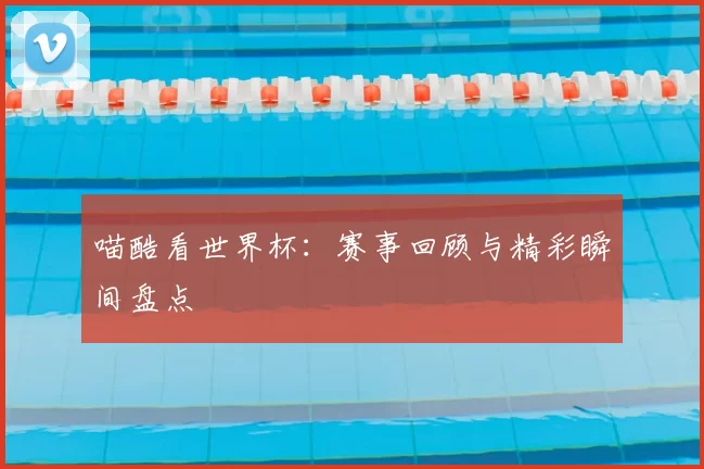 喵酷看世界杯:赛事回顾与精彩瞬间盘点