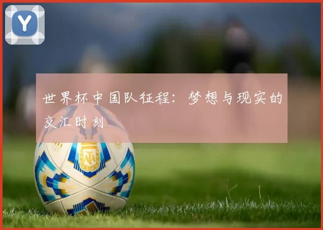 世界杯中国队征程:梦想与现实的交汇时刻