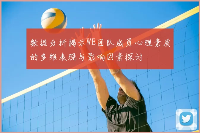 数据分析揭示WE团队成员心理素质的多维表现与影响因素探讨