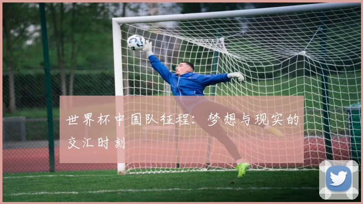 世界杯中国队征程:梦想与现实的交汇时刻