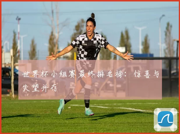 世界杯小组赛最终排名榜:惊喜与失望并存