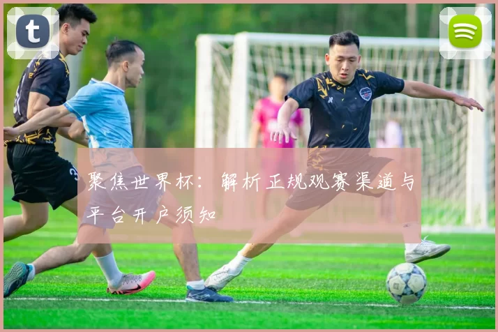 聚焦世界杯:解析正规观赛渠道与平台开户须知