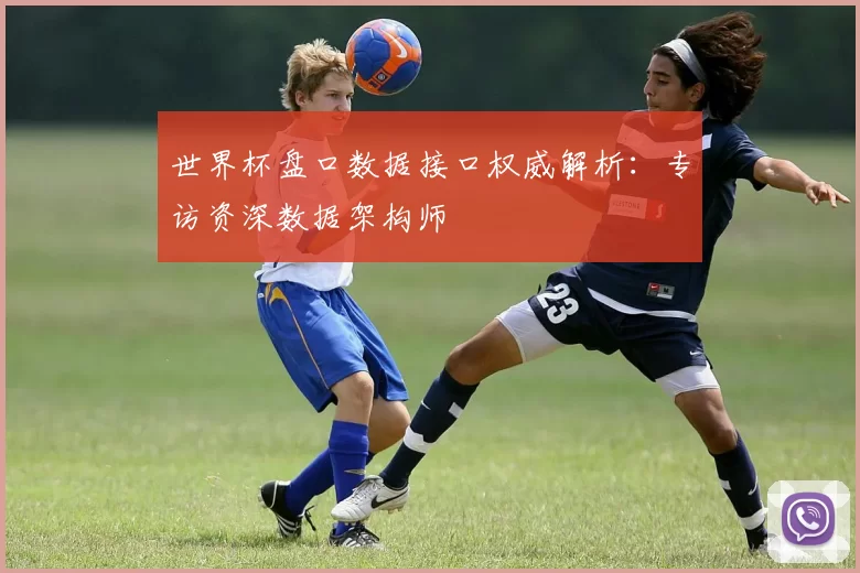 世界杯盘口数据接口权威解析:专访资深数据架构师