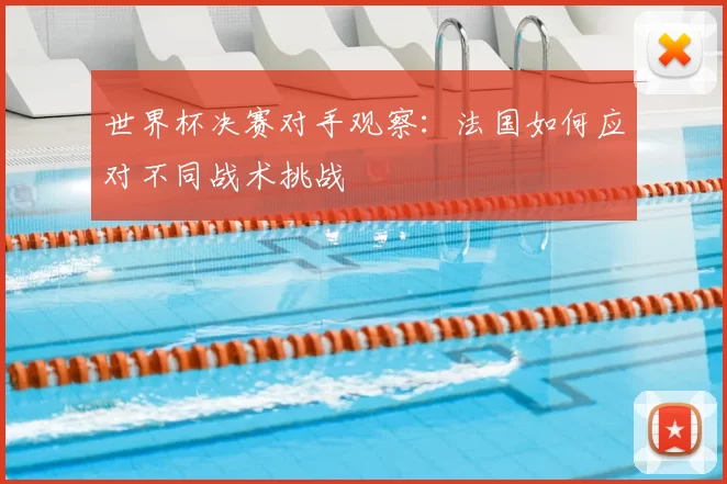 世界杯决赛对手观察:法国如何应对不同战术挑战
