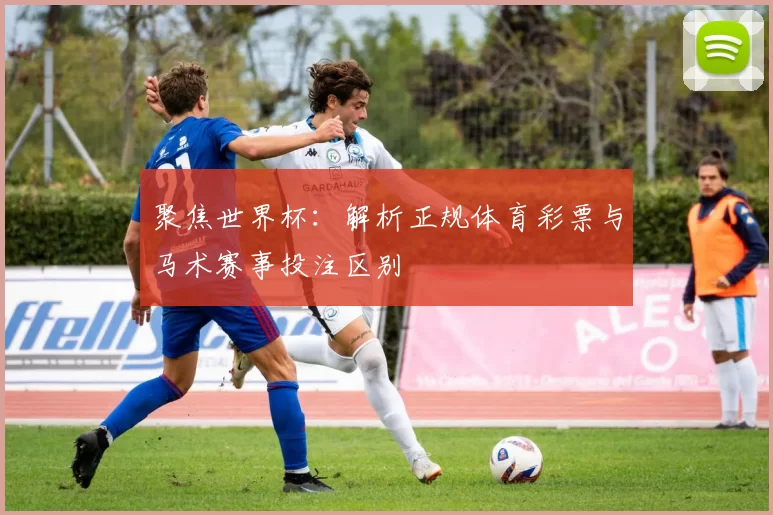 聚焦世界杯:解析正规体育彩票与马术赛事投注区别