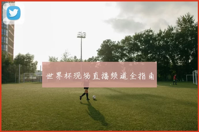 世界杯现场直播频道全指南