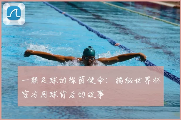 一颗足球的绿茵使命：揭秘世界杯官方用球背后的故事